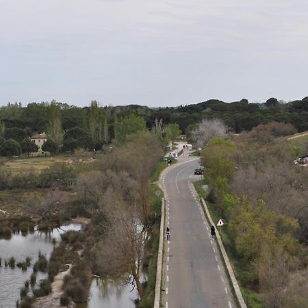 Vacances En Camargue Proche De La Mer Climatise Ег-Морт Екстер'єр фото