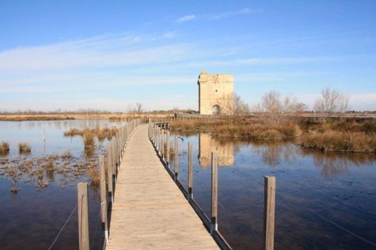 Vacances En Camargue Proche De La Mer Climatise Ег-Морт Екстер'єр фото